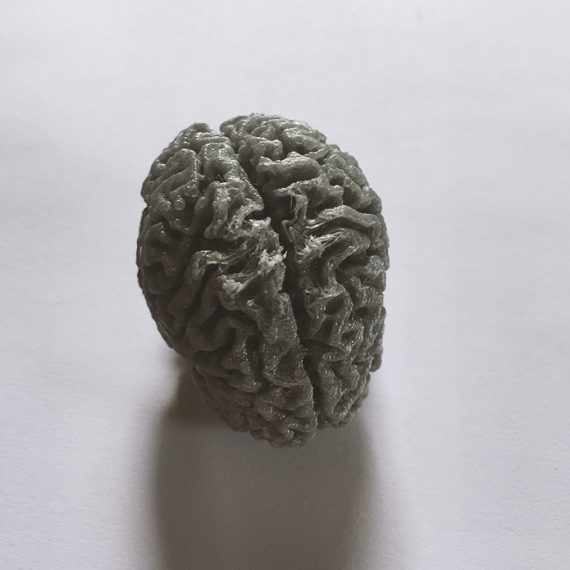 Printed Brain copy